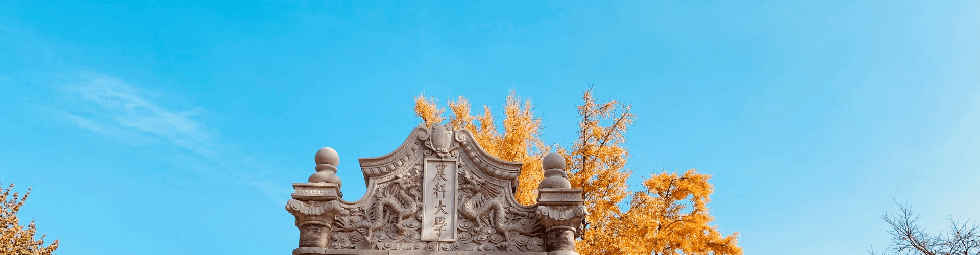 中心概况